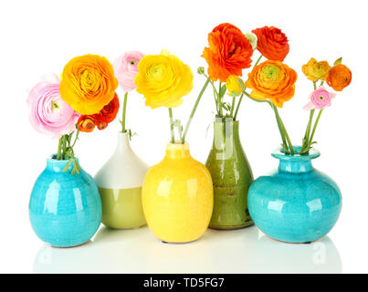 Ranunculus (perse renoncules) dans des vases, isolated on white Banque D'Images