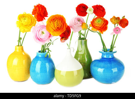 Ranunculus (perse renoncules) dans des vases, isolated on white Banque D'Images