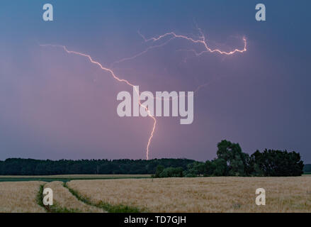 Treplin, Allemagne. 12 Juin, 2019. D'un orage, des éclairs illuminent le ciel du soir sur le paysage dans le territoire de la ville de district au Brandebourg. Crédit : Patrick Pleul/dpa-Zentralbild/dpa/Alamy Live News Banque D'Images