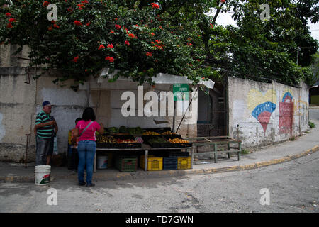 Caracas, Venezuela. 8 juin, 2019. Petare est le plus grand bidonville de Caracas au Venezuela. Une femme va acheter des légumes à un vendeur de rue. À côté du vendeur est pro Maduro art. Crédit : Allison Dîner/ZUMA/Alamy Fil Live News Banque D'Images