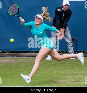 Rosmalen, aux Pays-Bas. 13 Juin, 2019. ROSMALEN, tennis, WTA Open 2019 Libema et tournoi ATP, 13-06-2019, l'Autotron Rosmalen, Ekaterina Alexandrova (RUS) : Crédit Photos Pro/Alamy Live News Banque D'Images