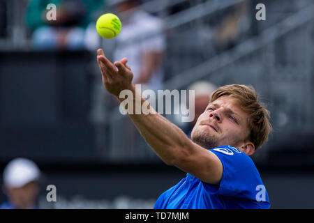 Rosmalen, aux Pays-Bas. 13 Juin, 2019. ROSMALEN, tennis, WTA Open 2019 Libema et tournoi ATP, 13-06-2019, l'Autotron Rosmalen, David Goffin (BEL) : Crédit Photos Pro/Alamy Live News Banque D'Images