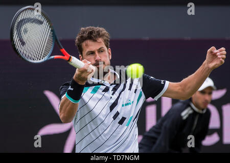 Rosmalen, aux Pays-Bas. 13 Juin, 2019. ROSMALEN, tennis, WTA Open 2019 Libema et tournoi ATP, 13-06-2019, l'Autotron Rosmalen, Robin Haase (NED) : Crédit Photos Pro/Alamy Live News Banque D'Images