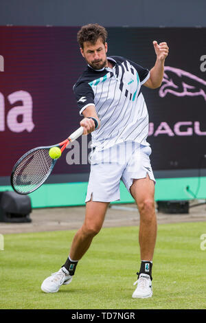 Rosmalen, aux Pays-Bas. 13 Juin, 2019. ROSMALEN, tennis, WTA Open 2019 Libema et tournoi ATP, 13-06-2019, l'Autotron Rosmalen, Robin Haase (NED) : Crédit Photos Pro/Alamy Live News Banque D'Images