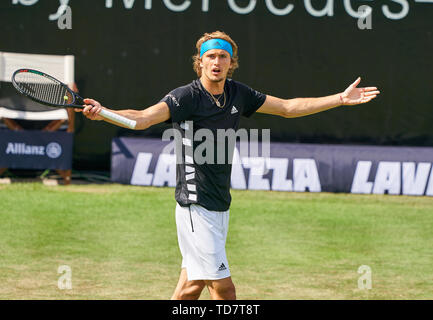 Stuttgart, Allemagne. 13 Juin, 2019. Alexander ZVEREV, GER en colère dans son match contre Dustin BROWN (GER) à l'ATP Tennis Open Mercedes sur l'herbe à Stuttgart , Juin 13, 2019. Crédit : Peter Schatz/Alamy Live News Banque D'Images