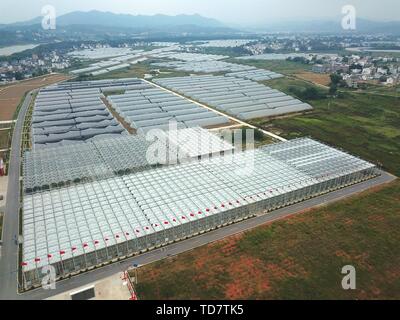 (190613) -- SHOUKE BUSINESS, 11 juin 2019 (Xinhua) -- photo aérienne prise le 28 septembre 2018 montre un parc industriel agricole dans Zishan Canton de comté, de l'Est Chine Shouke Business District administratif de la province. Shouke Business est le point de départ de la Longue Marche, une manoeuvre militaire menée par les travailleurs chinois et paysans de l'Armée Rouge de 1934 à 1936. La Chine a lancé une activité qui va prendre les journalistes à retracer l'itinéraire de la Longue Marche. L'activité vise à rendre hommage aux martyrs révolutionnaires et passant sur les traditions de la révolution, alors que le pays célèbre le 70e anniversaire de l'trouvés Banque D'Images