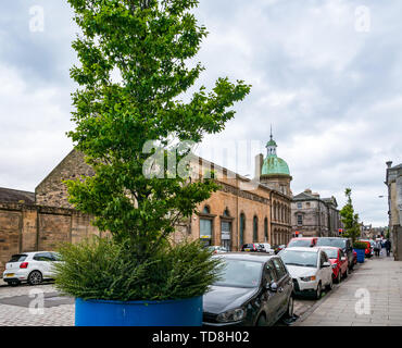 Des arbres dans de grands pots apparaissent dans l'aire de stationnement de rue, Corn Exchange, Constitution Street, Leith, Edinburgh, Ecosse, Royaume-Uni Banque D'Images