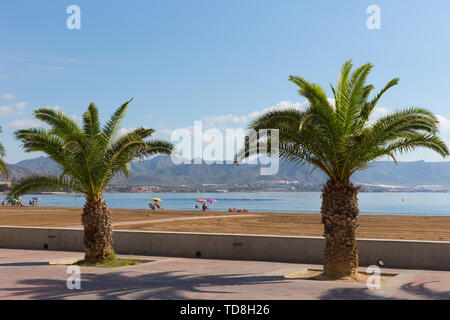 La plage de Puerto de Mazarron Murcia Espagne avec palmiers ciel bleu et la mer Banque D'Images