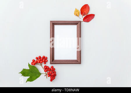 Composition florale d'automne. Cadre photo vertical viburnum feuilles colorées baies maquette sur fond blanc. L'écologie des plantes naturelles automne peint frais Banque D'Images