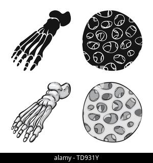 Fibre,pieds,sain,cheville,scientifique,la podologie,avant-pied,muscle épithélium,DE,panneaux,épiderme,les pieds plats,mouvement,tendon,cell,tissu,dommage,structure,médecine,clinique,biologie,médical,os,,squelette anatomie,des,organes,,set,icône,,illustration,collection,isolé,design,graphisme,élément,signe, vecteurs vecteur , Illustration de Vecteur