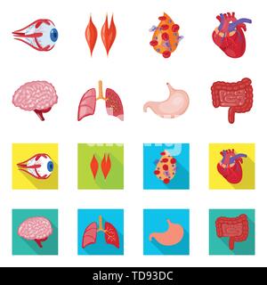 Globe oculaire,sang,musculaire,coeur,cerveau Poumon Estomac,,oeil,organes,plasma,cardiologie,esprit,,trachée,tube,tissu,cornée,cell,,cardiovasculaire,renseignement,pulmonaire intestin gastrique,couches,capot,body,science,douleur,l'artère gastro-intestinaux,structure,biologie,scientifique,recherche,laboratoire,anatomie,organe interne,,médical,des,santé,,set,icône,illustration,isolé,collection,design,élément,graphique,signe,vecteurs vecteur , Illustration de Vecteur