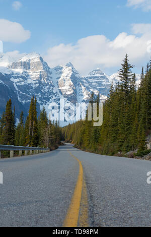 Route bordée d'arbres sinueux menant à des montagnes enneigées Banque D'Images