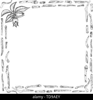 L'Ashwagandha hand drawn border frame pattern avec les baies, vit et de la direction générale en couleur noir sur fond blanc. Retro vintage design graphique Jardin Botanique Illustration de Vecteur