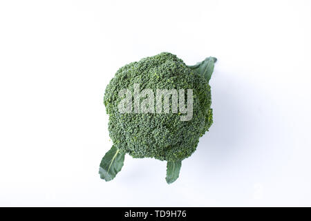 Chou-fleur, brocoli nom scientifique, également connu sous le nom de bleu de moutarde, le Brocoli, brocoli fleur. Banque D'Images