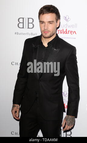 Londres, Royaume-Uni. 13 Juin, 2019. Liam Payne arrive pour les enfants Caudwell Butterfly Ball événement de bienfaisance du Grosvenor House, Park Lane Crédit : SOPA/Alamy Images Limited Live News Banque D'Images