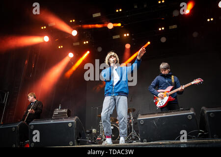 Oslo, Norvège. 13 Juin, 2019. Norvège, Oslo - le 13 juin 2019. Le groupe de rock anglais The Charlatans effectue un concert live au cours de la fête de la musique norvégienne Piknik i Parken 2019 à Oslo. Ici singer Tim Burgess est vu sur scène. (Photo crédit : Gonzales Photo/Alamy Live News Banque D'Images