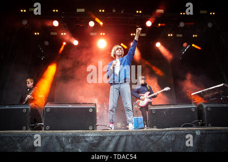 Oslo, Norvège. 13 Juin, 2019. Norvège, Oslo - le 13 juin 2019. Le groupe de rock anglais The Charlatans effectue un concert live au cours de la fête de la musique norvégienne Piknik i Parken 2019 à Oslo. Ici singer Tim Burgess est vu sur scène. (Photo crédit : Gonzales Photo/Alamy Live News Banque D'Images