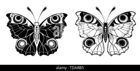 Deux stylisé, artistique, monochrome, Peacock papillons sur fond blanc. L'élément de conception. Illustration de Vecteur