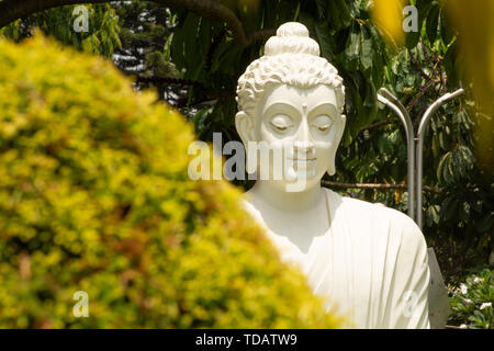 Bangalore, Karnataka, India-June 2019 04:Libre visage de statue du Bouddha blanc en méditant la posture sur table en pierre avec la nature en arrière-plan Banque D'Images