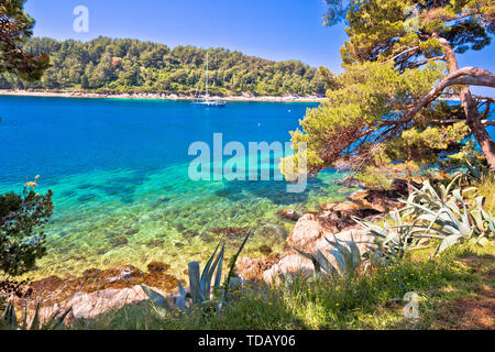 Plage en pierre turquoise idyllique à Cavtat, Mer Adriatique Dalmatie, région de la Croatie Banque D'Images