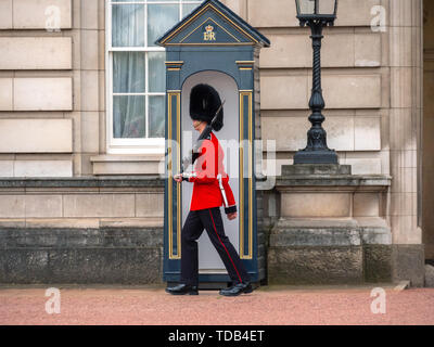 Soldat anglais patrouiller à Buckingham Palace Banque D'Images