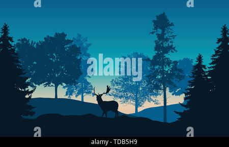 Illustration réaliste du paysage avec des forêts de conifères et de feuillus et matin ciel bleu avec soleil levant. Les cerfs avec bois debout. Approprié comme Illustration de Vecteur