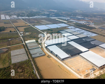 Photographie aérienne Wengyuan agricoles modernes à grande échelle des installations de la protection de la plantation d'Orchidées Banque D'Images