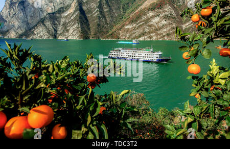 L'orange et orange rouge reflète la Xiaojiang River. Chaque fin d'automne et d'hiver, les oranges des Xilingxia des Trois Gorges sont jaunes et les oranges sont en rouge, faisant de la majestueuse rivière Xiaojiang particulièrement belle. Banque D'Images