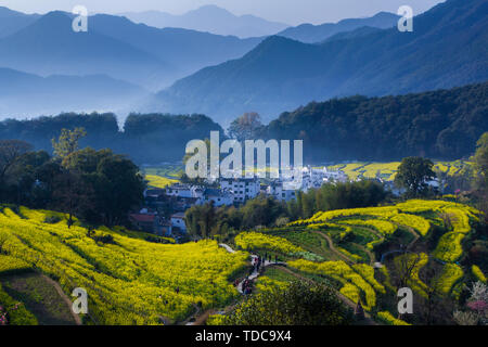 Poêlée de choux en Wuyuan Banque D'Images