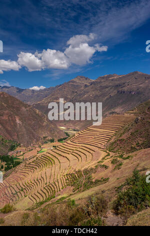 Les champs en terrasses dans la zone archéologique Inca de Pisac dans la Vallée Sacrée près de la ville de Cusco au Pérou. Terrasses agricoles sur la colline escarpée. Banque D'Images