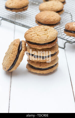 Des biscuits de Kingston. Biscuit australien. Tour de la noix de coco et crème au chocolat avec des biscuits d'avoine au milieu Banque D'Images