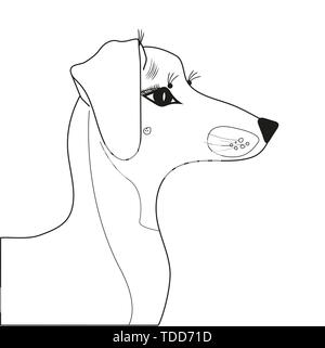 Chien de race teckel de profil avec de beaux yeux d'un dédié race teckel Illustration de Vecteur