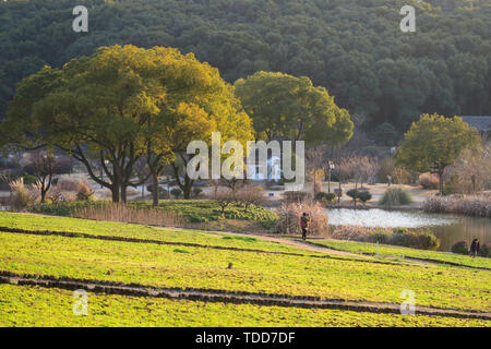 De beaux paysages de Wuxi garden Banque D'Images