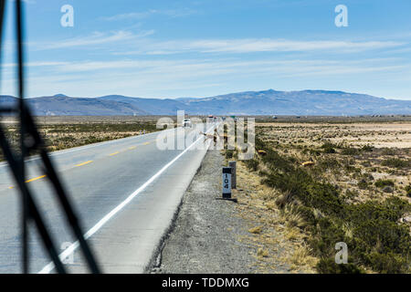 Vigognes traversant une route passante devant un convoi de camions vu par un coach dans la réserve nationale de Salinas y Aguada Blanca, Arequipa, Pérou, Banque D'Images