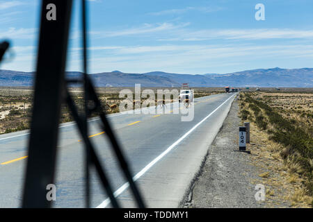 Vigognes traversant une route passante devant un convoi de camions vu par un coach dans la réserve nationale de Salinas y Aguada Blanca, Arequipa, Pérou, Banque D'Images