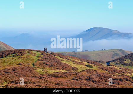 Vue depuis le Long Mynd dans les collines du Shropshire, au Royaume-Uni, avec des pics au-dessus des nuages. Banque D'Images