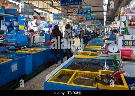 Busan, Corée du Sud - Avril 2019 : des fruits de mer vendus au marché du poisson cru Millak situé près de la plage de Gwangalli à Busan, Corée du Sud Banque D'Images