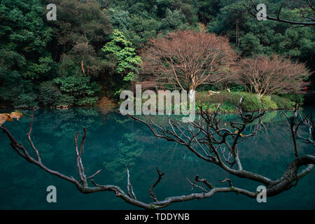 56 Dongpo Smoke Tree Hangzhou Banque D'Images