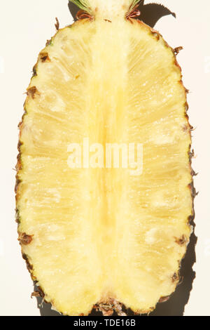 Ananas (Ananas comosus), cut-ouvert sur fond blanc, São Paulo, Brésil Banque D'Images