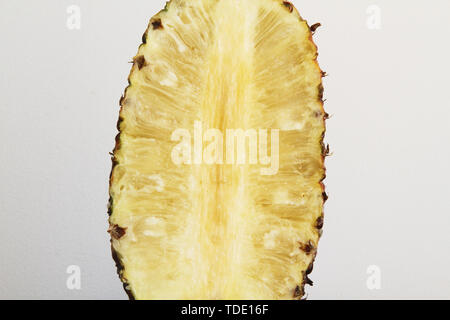 Ananas (Ananas comosus), cut-ouvert sur fond blanc, São Paulo, Brésil Banque D'Images