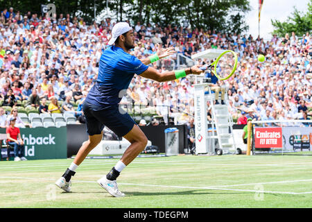 Stuttgart, Allemagne. 15 Juin, 2019. Gagnante de la demi-finale et finale : Matteo Berrettini (ITA). GES/tennis/ATP Tour 250 : MercedesCup 2019 Tennis ATP Tour, 15.06.2019 250 : MercedesCup, 2019 Stuttgart, Allemagne, 15 juin 2019 | dans le monde l'utilisation de crédit : afp/Alamy Live News Banque D'Images