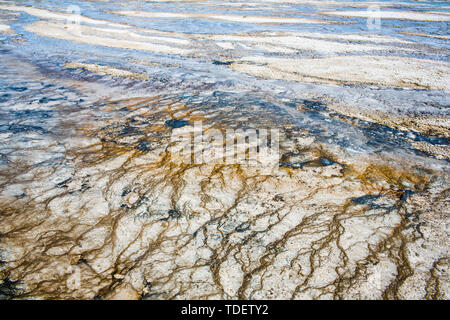 Micro-organismes et d'algues dye les formations rocheuses du grand prisme sources chaudes du Parc National de Yellowstone aux États-Unis dans des couleurs différentes pour former une texture colorée. Banque D'Images