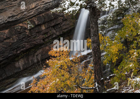 Cascade, Cameron Falls, parc national des Lacs-Waterton, Alberta, Canada Banque D'Images