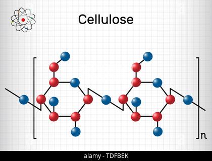 Molécule polysaccharidique de la cellulose. Feuille de papier dans une cage. Formule chimique structurels. Vector illustration Illustration de Vecteur