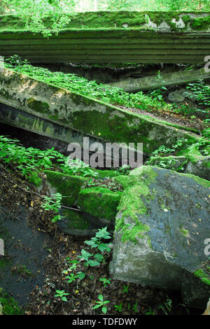 Reichssicherheitsdienst RSD (Service de sécurité du Reich) Centre de commande Wolfsschanze (la tanière du loup) dans la région de Gierloz, Pologne. 4 juillet 2008, était l'un de Führer Banque D'Images