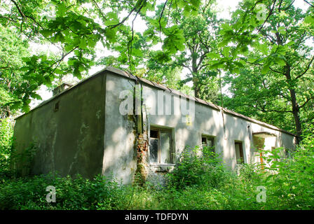 Reichssicherheitsdienst RSD (Service de sécurité du Reich) Centre de commande Wolfsschanze (la tanière du loup) dans la région de Gierloz, Pologne. 4 juillet 2008, était l'un de Führer Banque D'Images