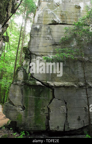 Guest bunker et en abri anti-aérien Wolfsschanze (la tanière du loup) dans la région de Gierloz, Pologne. 4 juillet 2008, était l'un de Führerhauptquartier (siège du Führer Banque D'Images