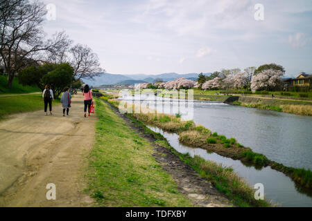 Le fleuve Kamo est situé dans la préfecture de Kyoto, au Japon. Les rives sont des lieux de marche populaires pour les résidents et les touristes. Banque D'Images