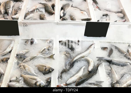 Close-up of fresh poisson refroidi sur la glace pour la vente au marché. Banque D'Images