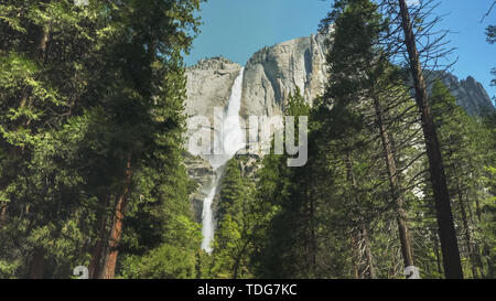 Marcher vers le yosemite falls, la plus haute de Yosemite National Park, Californie Banque D'Images